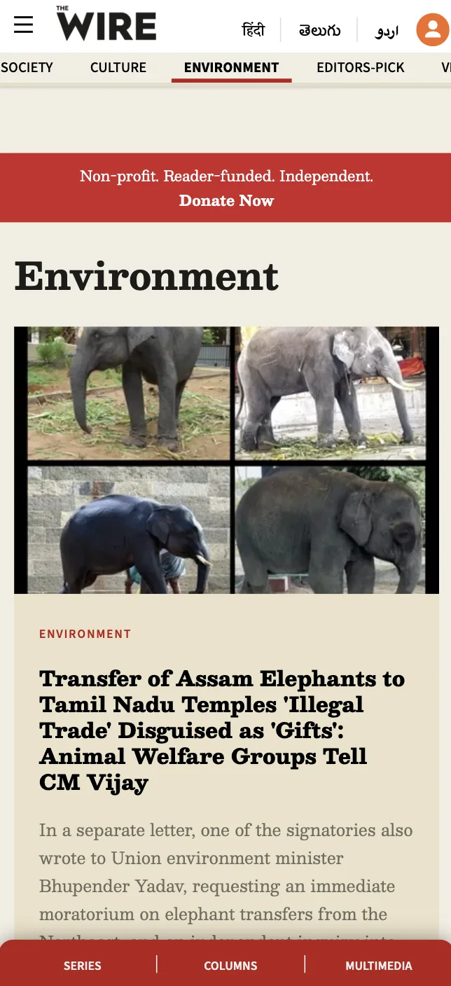 The Wire Environment section on mobile